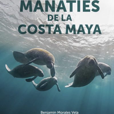 Manatíes de la costa maya, novedad editorial ECOSUR